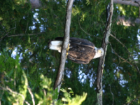 img_5061.jpg